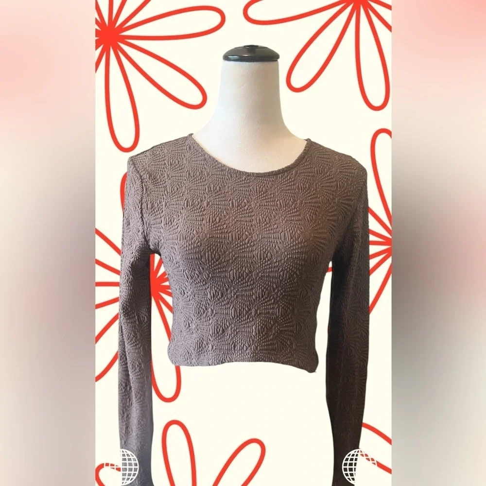 Zara Brown Fitted Long Sleeve Crop Top